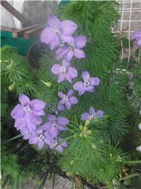 6ad182e2-Picture 014.jpg